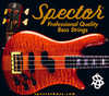 spector_bass_strings.jpg