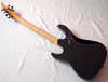 caparison_c2_5.jpg