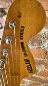 holly_splendor_series_stratocaster_vi.jpg