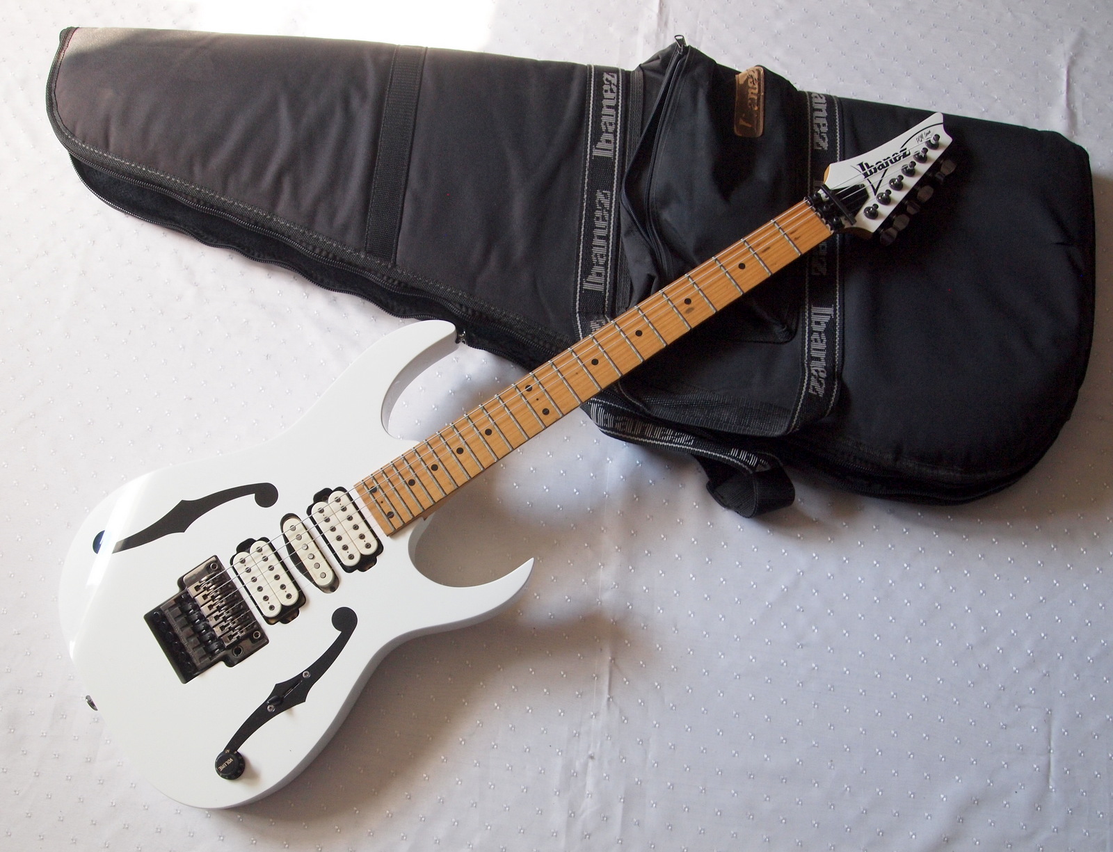 ibanezpgm300.jpg