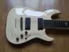 schecter_c7_blackjack_atx_9white_003.jpg