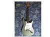 fender_stratocaster_sage_green_made_in_mexico_mz5111905.jpg