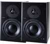 dynaudio_bm6a_4bd997071d753.jpg