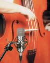 yorkville_apex_435_condenser_microphone_3.png