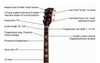 gibson_lp_deluxe_1975__specifications.jpg