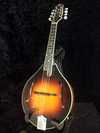 the_loar_lm400vs_mandolin.jpg