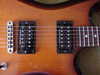 washburn_dd60_002.jpg