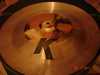 dsc01141.jpg