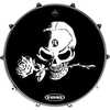 dv019_jpg_regular_423882_skull.jpg