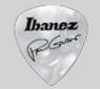 ibanez_1000pgpw.jpg