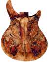 maple_spalted_guitar_back_1_s100_q60_web.jpg