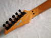 ibanezrg550firealarm19874.jpg