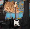 Gitara_komb_chehol.jpg