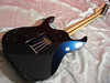 ibanezprestige7stringdscn9372.jpg