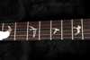 prs_sc_p90_birds.jpg