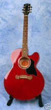 gibson_ec_10.jpg