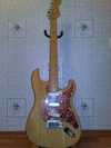 fender_stratocaster_standard__1999.jpg