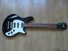 washburn_mw200_usa_custom_shop_001.jpg