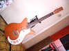 gitary_dano_teisco_017_r.jpg