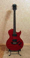 washburn_rr150_2.jpg