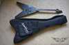 washburn_wv66gt_2blkexch_032.jpg