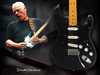 david_gilmour_stratocaster_06.jpg