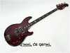 billy_sheehan_1.jpg