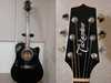 takamine_pt209_1.jpg