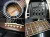 takamine_pt209_3.jpg