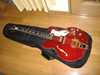 epiphone_riviera_with_bigsby_1.jpg