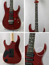 rg8670_j_custom_3.jpg