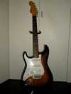 fender_strat122881.jpg