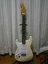 fender_strat_lefty_1.jpg