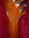 gibson_explorer_3.jpg