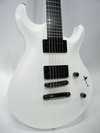 caparison_2.jpg