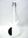 caparison_3.jpg