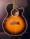 takamine_1.jpg