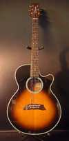 takamine_2.jpg
