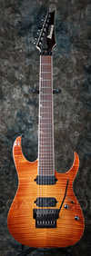 RG8527.jpg