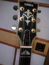 sg1000_with_emg_3.jpg