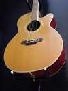 takamine_npt510_1.jpg