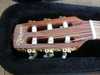 takamine_ptu608n_2.jpg
