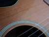 takamine_ptu608n_3.jpg