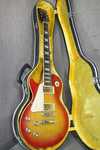 aria_lespaul_2.jpg