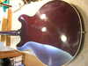 DSCN6978.JPG