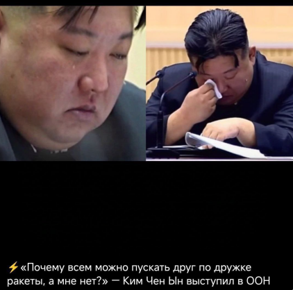 kim.png
