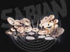 sabiansetup1024x768.jpg