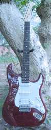 ariastrat_3212.jpg