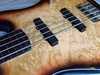 fretless1.jpg