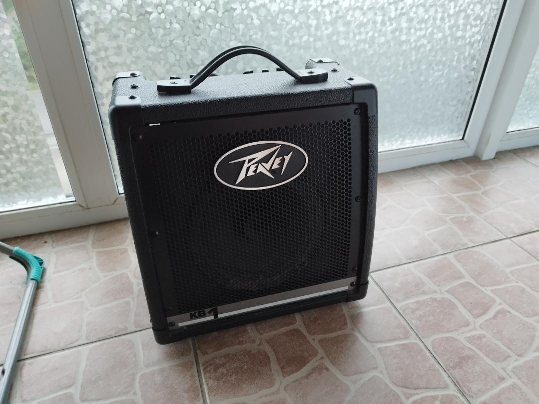 peavey1.jpg